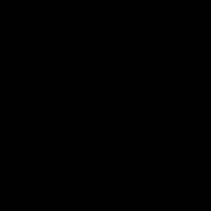 Meet your Posher, Alexus